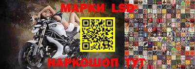 молекула духа Донской