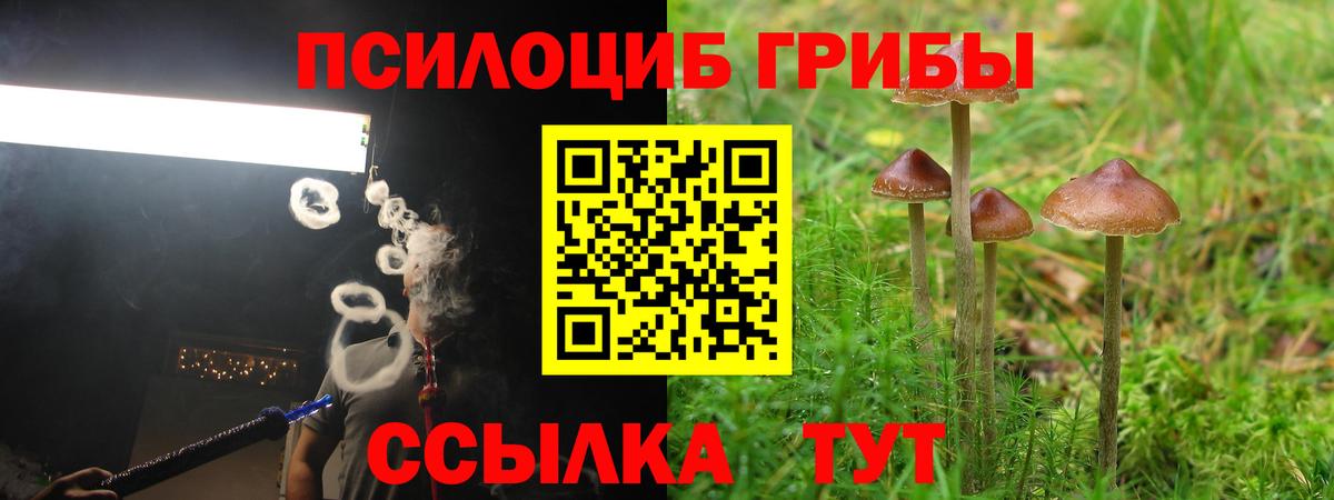 Галлюциногенные грибы мицелий  Вход с VPN  Новоуральск  Галлюциногенные грибы мицелий 